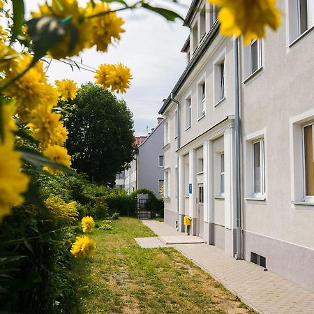 Apartament na Wspólnej Elbląg Exterior foto